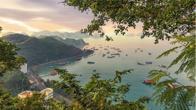 Cat Ba Island, Vietnam: The Complete Guide [Updated 2024]