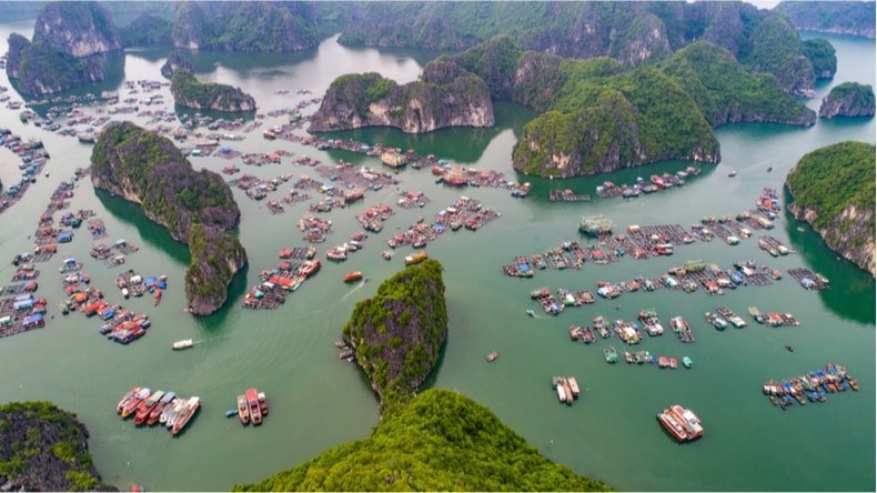 4. Visit Cai Beo floating village