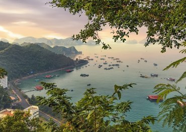 Cat Ba Island, Vietnam: The Complete Guide [Updated 2024]