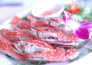 Food Safety: 5 Tips for Safe Dining of Seafood in Halong Bay