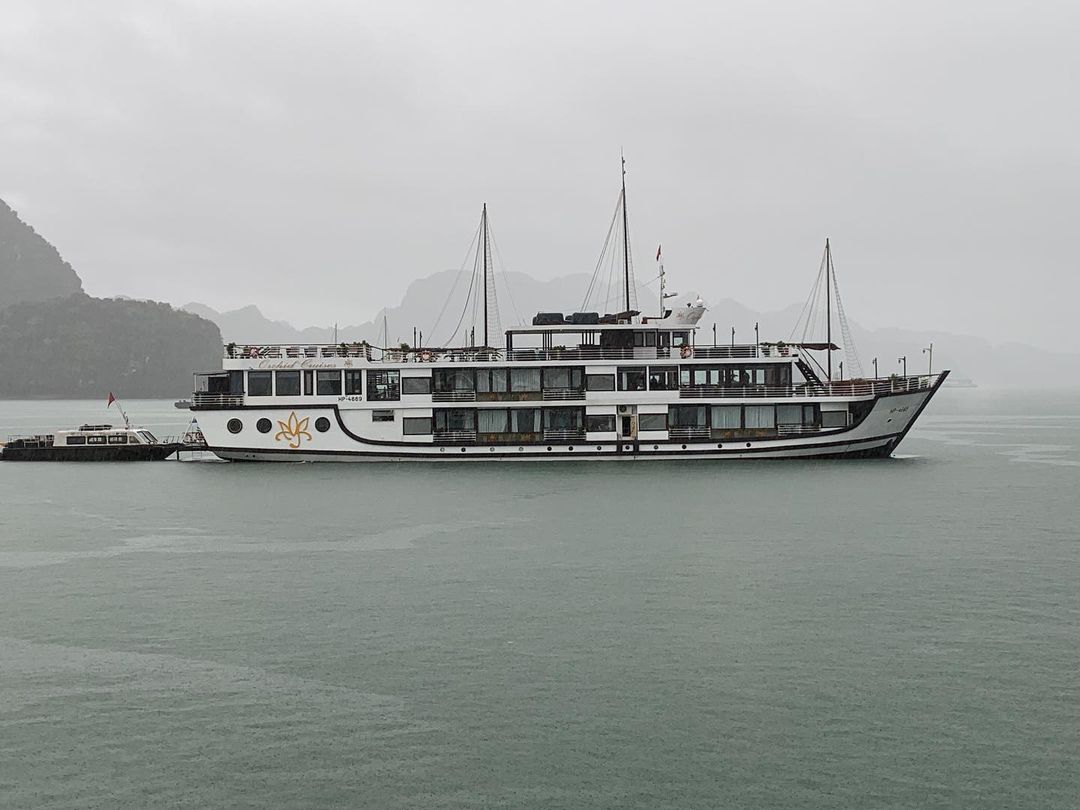 halong bay tour 2 days 1 night