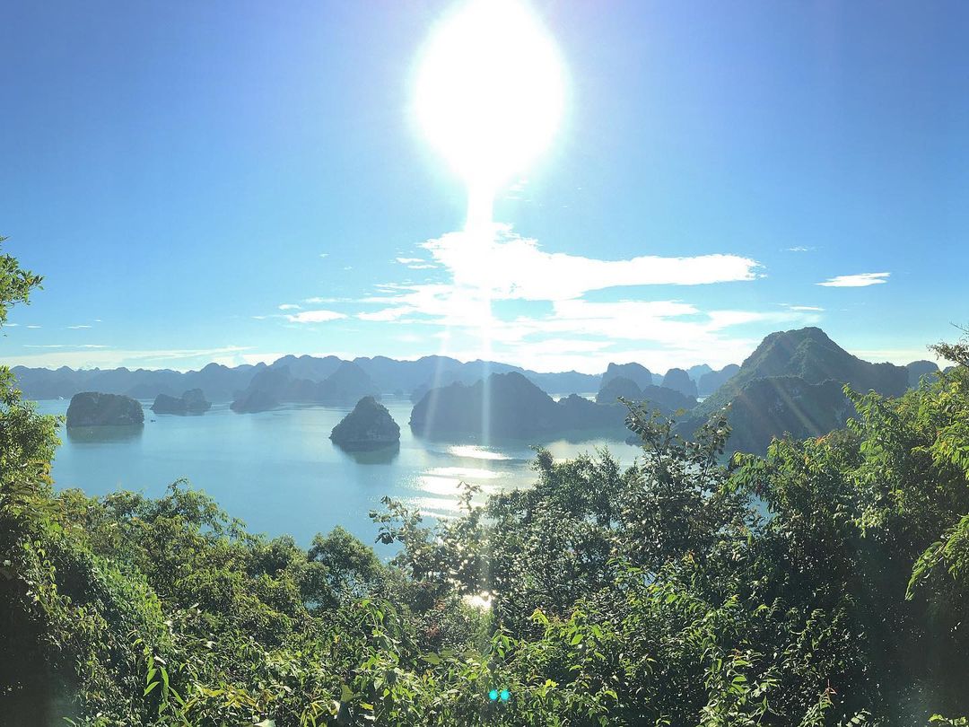 best cruise at halong bay