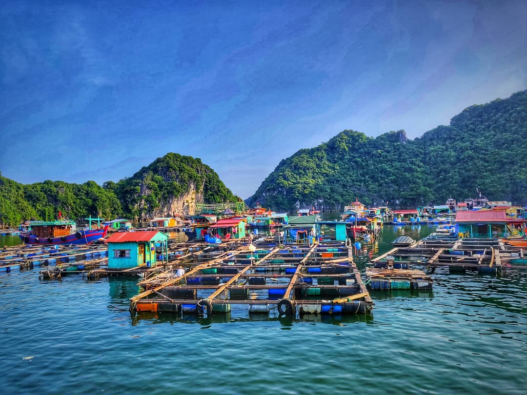 halong city tour